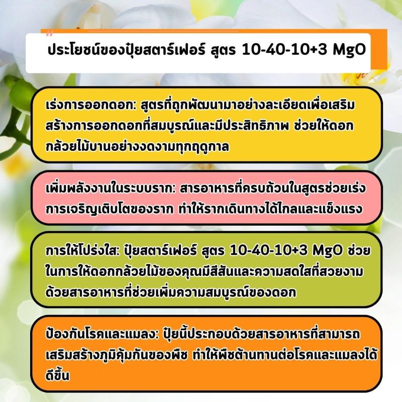 ปุ๋ยสตาร์เฟอร์ สูตร 10-40-10+3 MgO: สู่การออกดอกอันงดงามของกล้วยไม้ด้วยสารอาหารที่เพิ่มพลังการออกดอกและเร่งราก