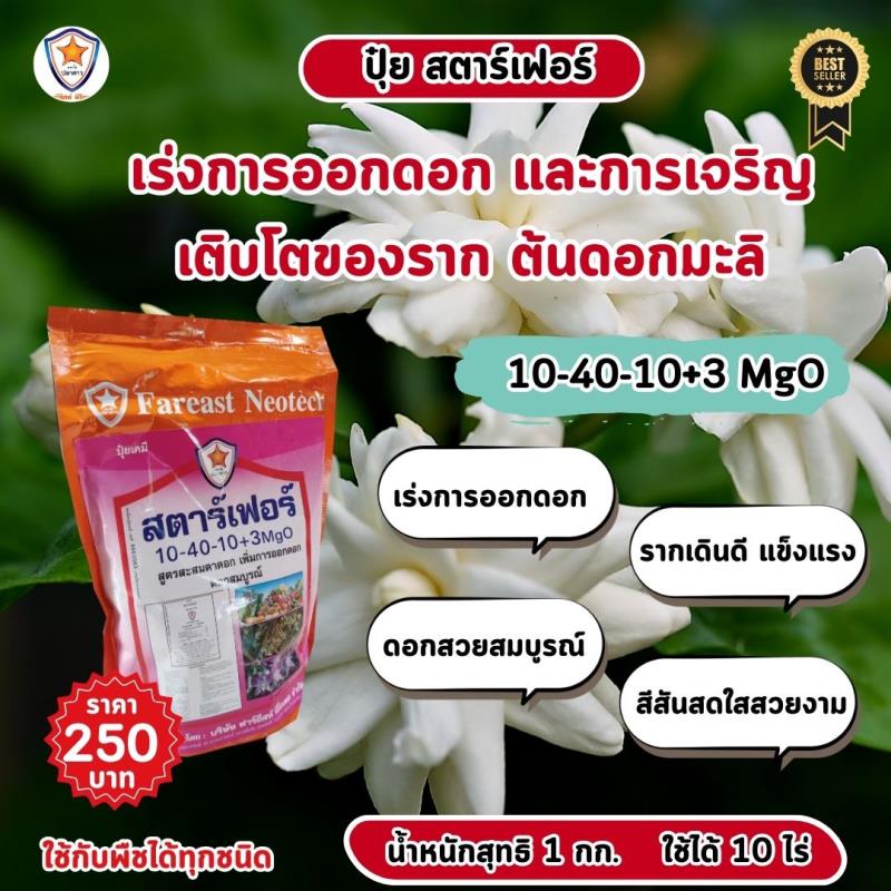 เพิ่มประสิทธิภาพการออกดอกและเร่งรากด้วย ปุ๋ยสตาร์เฟอร์ สูตร 10-40-10+3 MgO