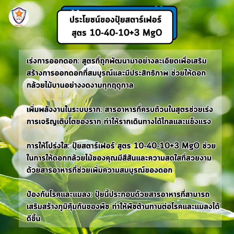 เพิ่มประสิทธิภาพการออกดอกและเร่งรากด้วย ปุ๋ยสตาร์เฟอร์ สูตร 10-40-10+3 MgO