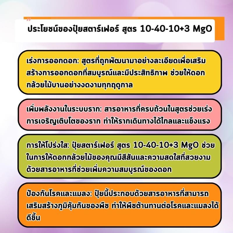 ปุ๋ยสตาร์เฟอร์ สูตร 10-40-10+3 MgO: เร่งการออกดอกและเร่งราก สำหรับต้นดอกรัก