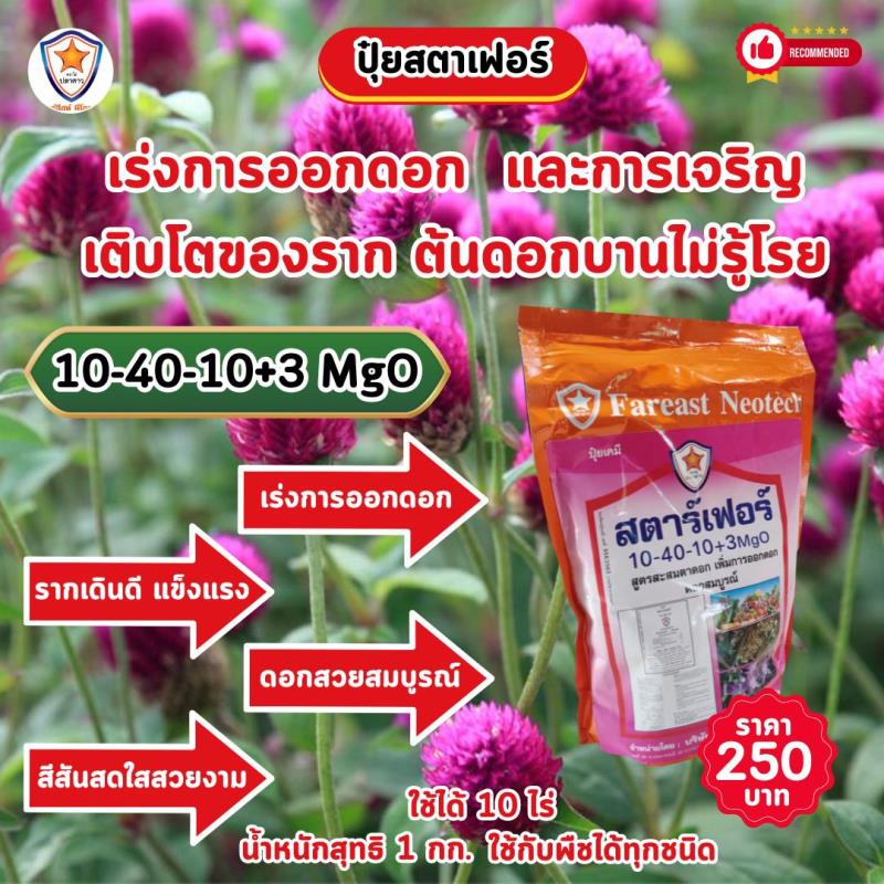 ปุ๋ยสตาร์เฟอร์สูตร 10-40-10+3 MgO พร้อมเสริมสร้างการออกดอกและรากให้ต้นดอกบานไม่รู้โรย