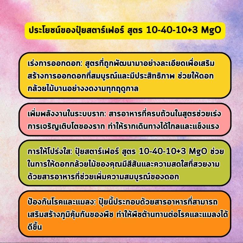 ปุ๋ยสตาร์เฟอร์สูตร 10-40-10+3 MgO พร้อมเสริมสร้างการออกดอกและรากให้ต้นดอกบานไม่รู้โรย