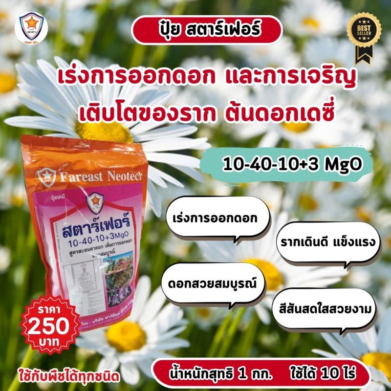 เร่งการออกดอกและเร่งรากด้วย ปุ๋ยสตาร์เฟอร์ สูตร 10-40-10+3 MgO