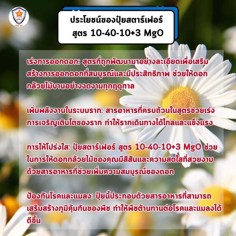 เร่งการออกดอกและเร่งรากด้วย ปุ๋ยสตาร์เฟอร์ สูตร 10-40-10+3 MgO