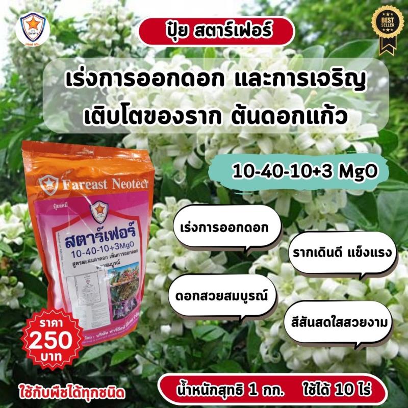 ปุ๋ยสตาร์เฟอร์ สูตร 10-40-10+3 MgO: เคล็ดลับการเร่งความงดงามของดอกแก้ว