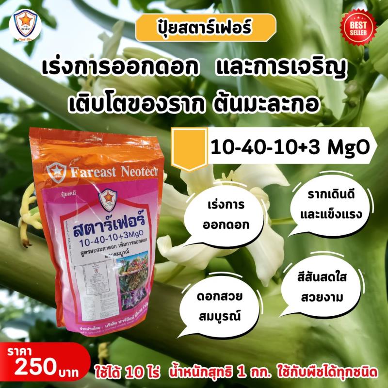 ปุ๋ยสตาร์เฟอร์ สูตร 10-40-10+3 MgO: เร่งการออกดอกและเจริญเติบโตของต้นมะละกออย่างมีประสิทธิภาพ