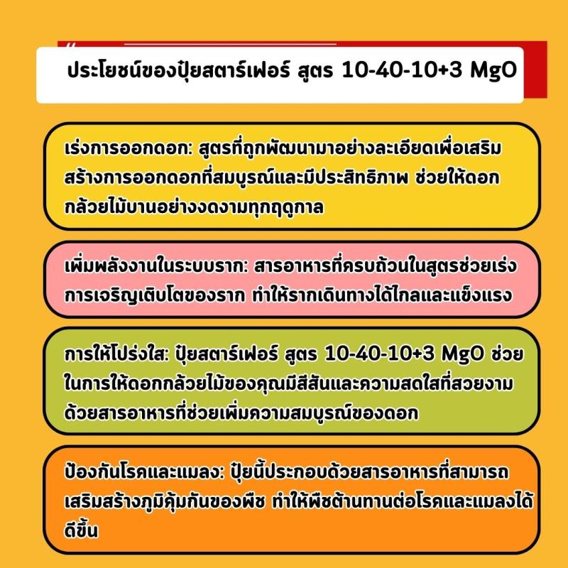 ปุ๋ยสตาร์เฟอร์ สูตร 10-40-10+3 MgO: เร่งการออกดอกและเจริญเติบโตของต้นมะละกออย่างมีประสิทธิภาพ