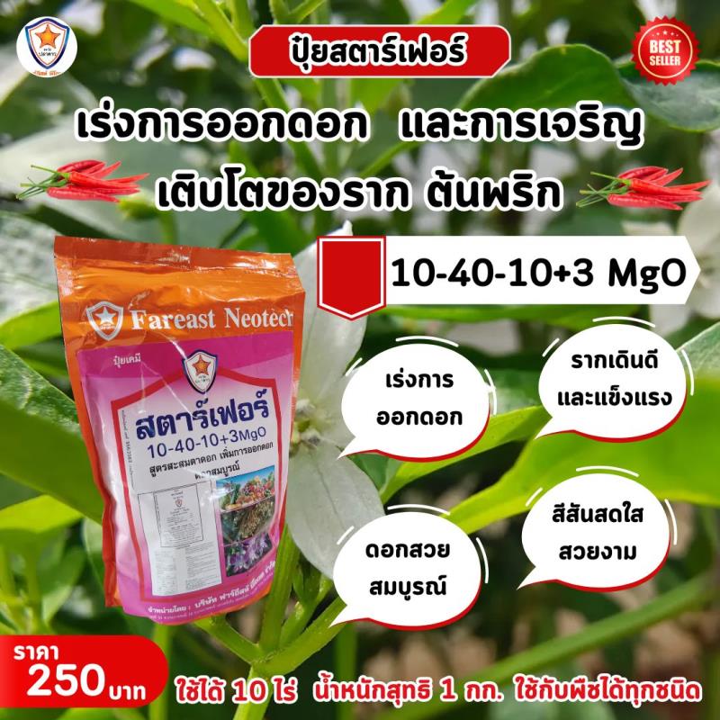 ปุ๋ยสตาร์เฟอร์ สูตร 10-40-10+3 MgO: เคล็ดลับสำหรับการเร่งการออกดอกและเร่งรากของต้นพริก