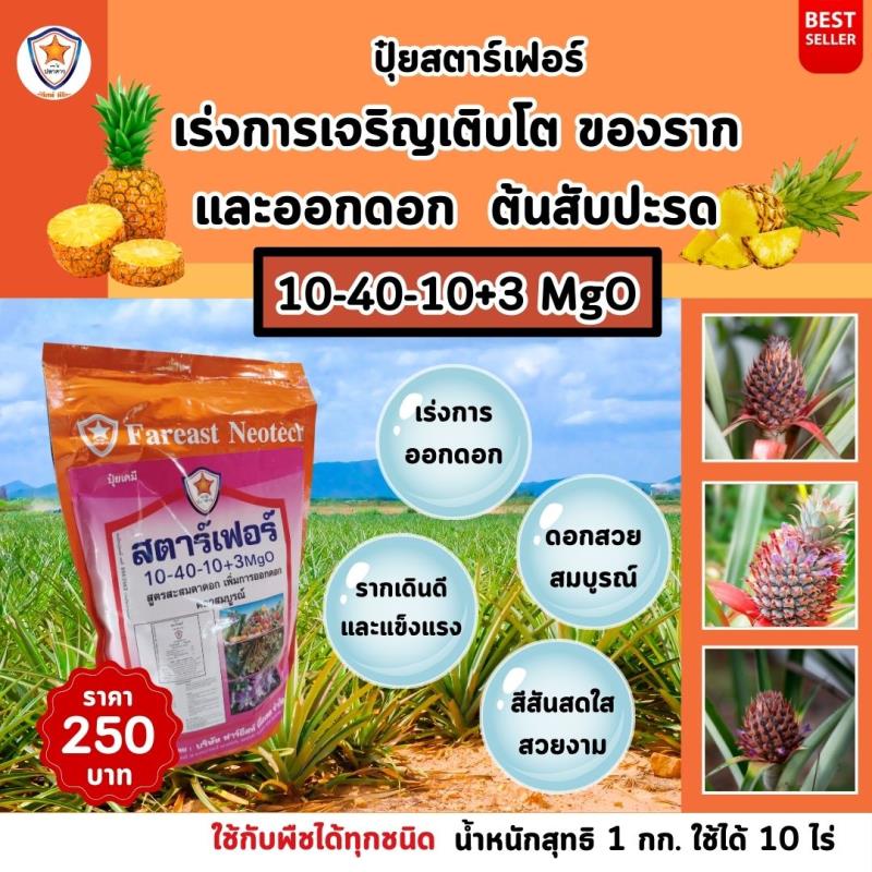 เร่งการออกดอกและเร่งรากด้วยปุ๋ยสตาร์เฟอร์ สูตร 10-40-10+3 MgO