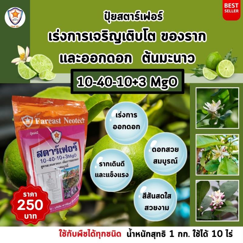 ปุ๋ยสตาร์เฟอร์ สูตร 10-40-10+3 MgO: เพิ่มพลังให้มะนาวออกดอกและเจริญเติบโตอย่างสมบูรณ์