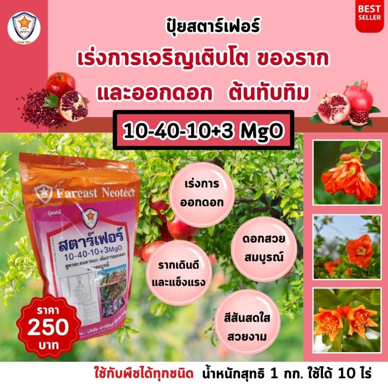 เร่งความสมบูรณ์ของต้นทับทิมด้วย ปุ๋ยสตาร์เฟอร์ สูตร 10-40-10+3 MgO