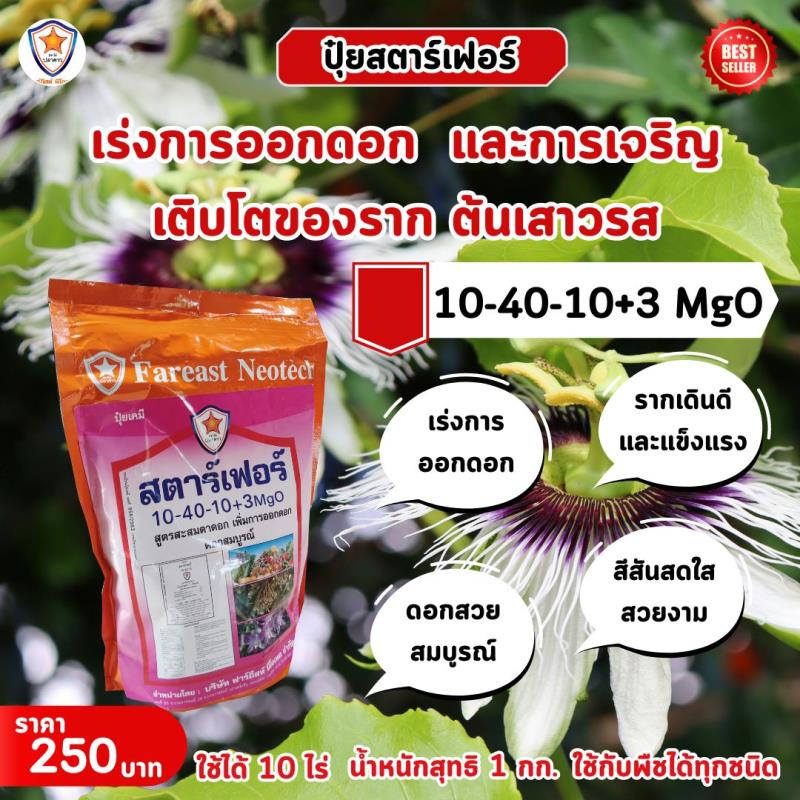 เติบโตไร้ขีดจำกัด: ปุ๋ยสตาร์เฟอร์ สูตร 10-40-10+3 MgO เพื่อเร่งการออกดอกและรากของต้นเสาวรส