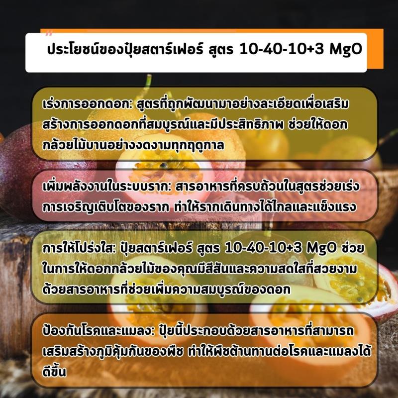 เติบโตไร้ขีดจำกัด: ปุ๋ยสตาร์เฟอร์ สูตร 10-40-10+3 MgO เพื่อเร่งการออกดอกและรากของต้นเสาวรส