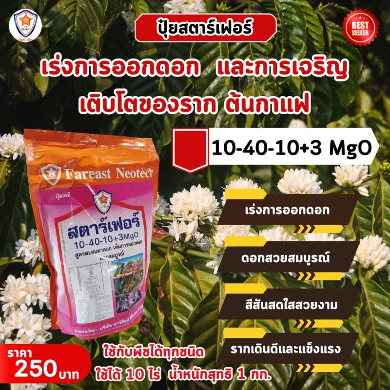 ปุ๋ยสตาร์เฟอร์ สูตร 10-40-10+3 MgO: เครื่องมือที่จะเร่งการออกดอกและเสริมรากของต้นกาแฟให้บรรลุผลผลิตที่ยอดเยี่ยม