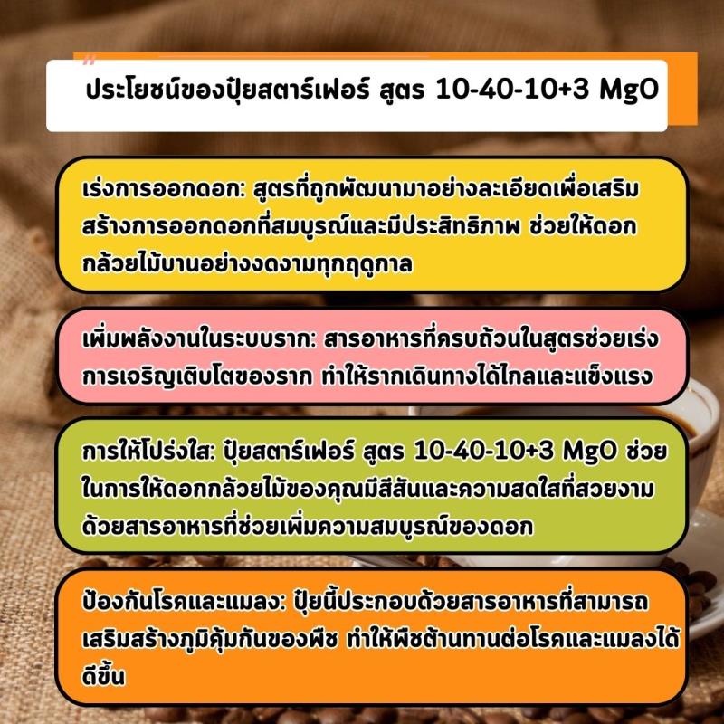 ปุ๋ยสตาร์เฟอร์ สูตร 10-40-10+3 MgO: เครื่องมือที่จะเร่งการออกดอกและเสริมรากของต้นกาแฟให้บรรลุผลผลิตที่ยอดเยี่ยม