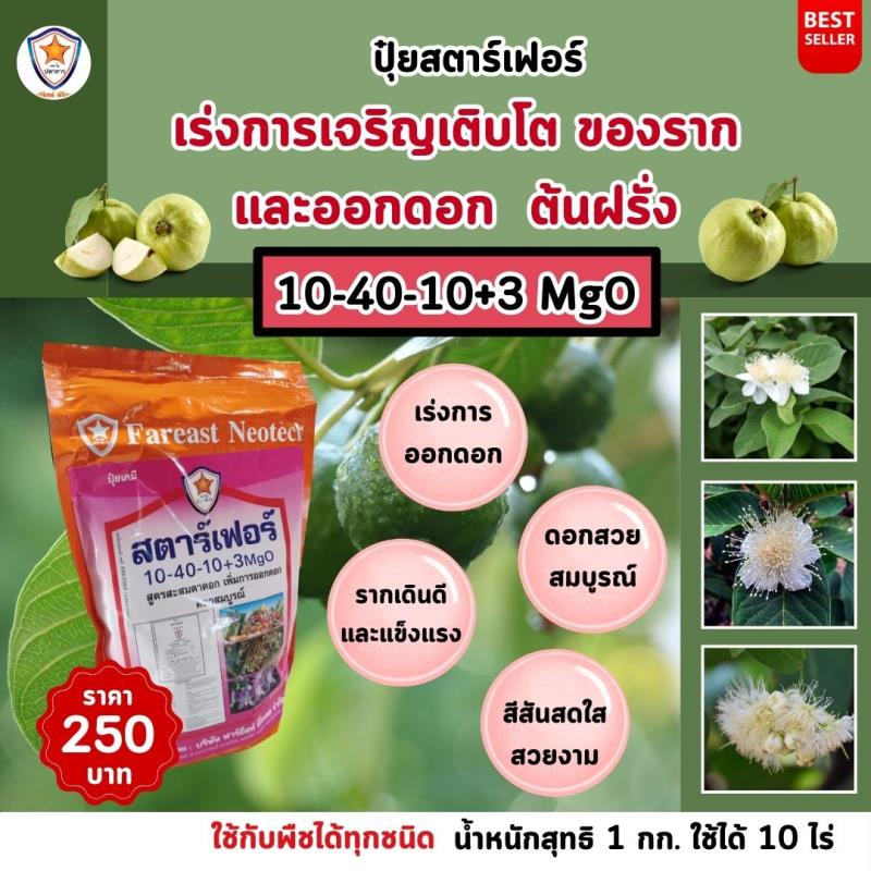 เพิ่มผลผลิตด้วยปุ๋ยสตาร์เฟอร์ 10-40-10+3 MgO: เคล็ดลับสำหรับการเพิ่มการออกดอกและเร่งรากในการปลูกต้นฝรั่ง