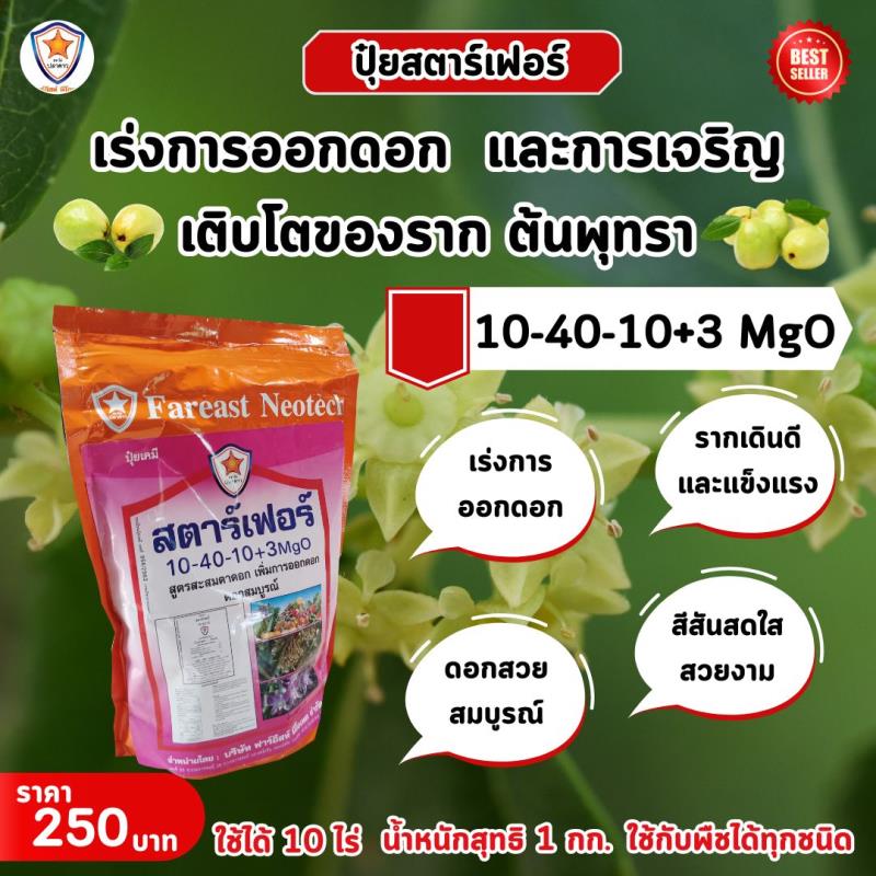 เพิ่มผลผลิตด้วยปุ๋ยสูตรพิเศษ: สตาร์เฟอร์ 10-40-10+3 MgO สำหรับการเร่งการออกดอกและเร่งรากของต้นพุทรา