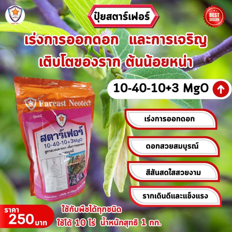 เร่งการออกดอกและเร่งรากด้วยปุ๋ยสตาร์เฟอร์ สูตร 10-40-10+3 MgO สำหรับต้นน้อยหน่า