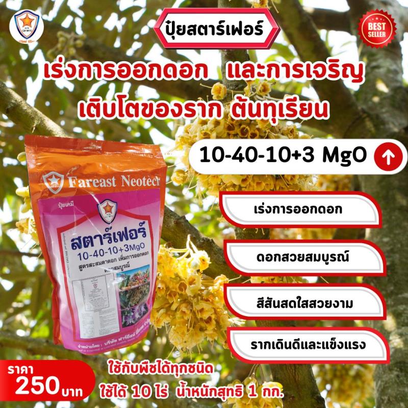 เร่งการออกดอกและเร่งรากด้วยปุ๋ยสตาร์เฟอร์ สูตร 10-40-10+3 MgO