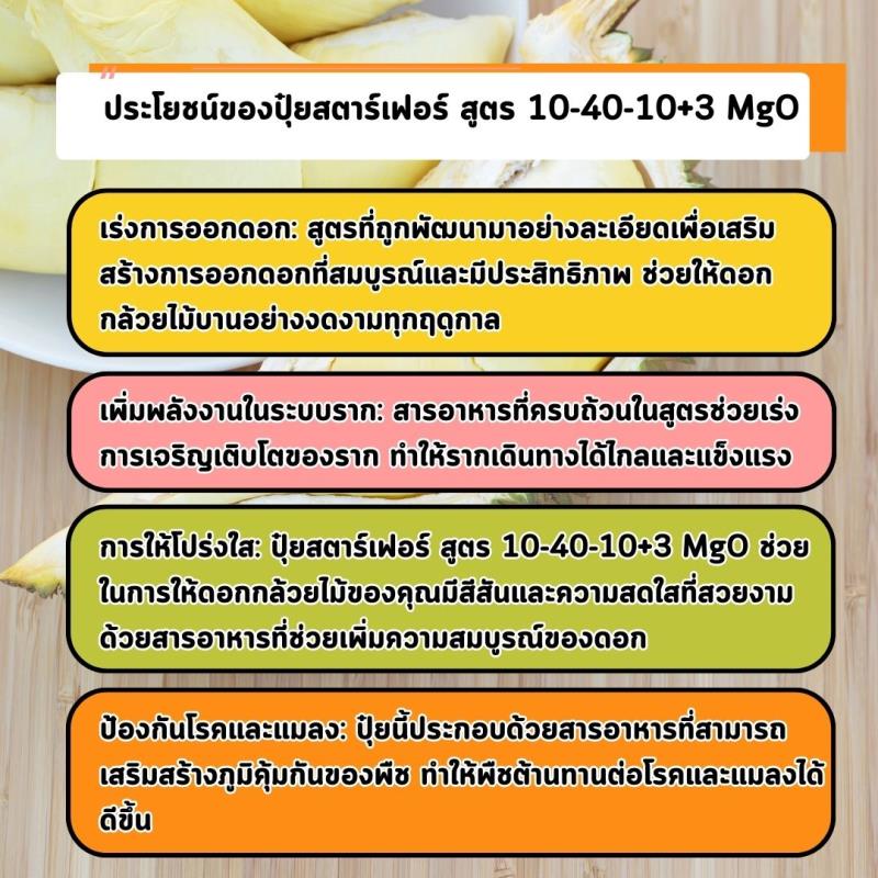 เร่งการออกดอกและเร่งรากด้วยปุ๋ยสตาร์เฟอร์ สูตร 10-40-10+3 MgO