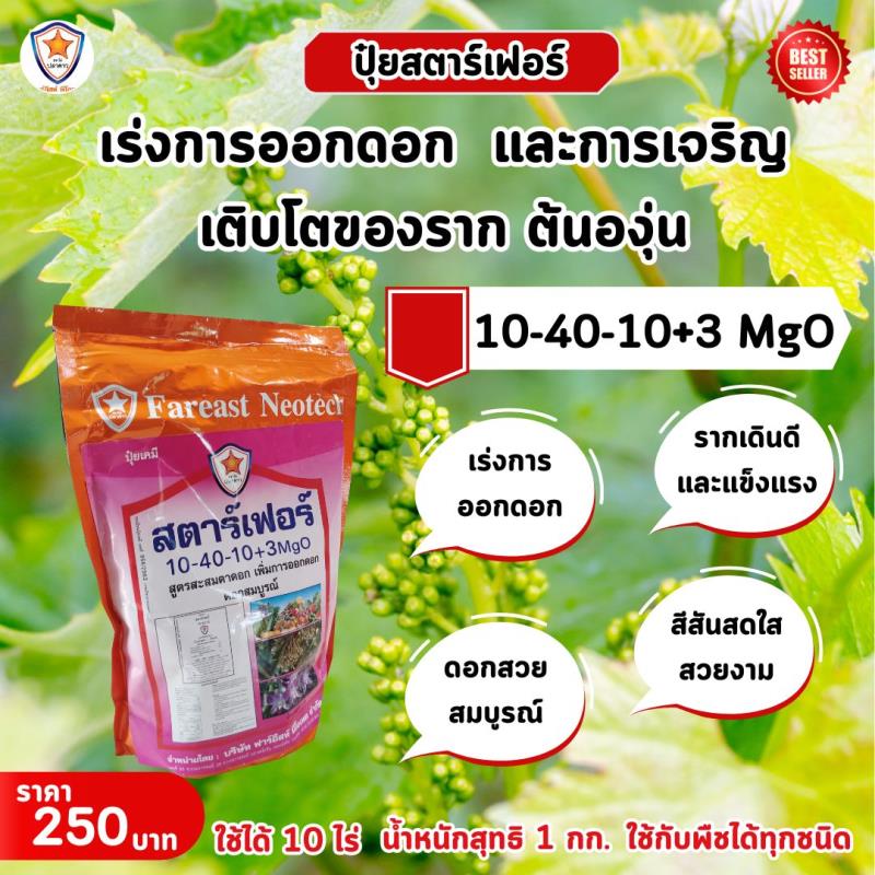 สตาร์เฟอร์ ปุ๋ยสูตร 10-40-10+3 MgO เป็นตัวช่วยที่ไม่ควรพลาด ที่จะช่วยให้ต้นองุ่นของคุณเติบโตแข็งแรงและมีผลผลิตที่มากขึ้นอย่างมีคุณภาพ