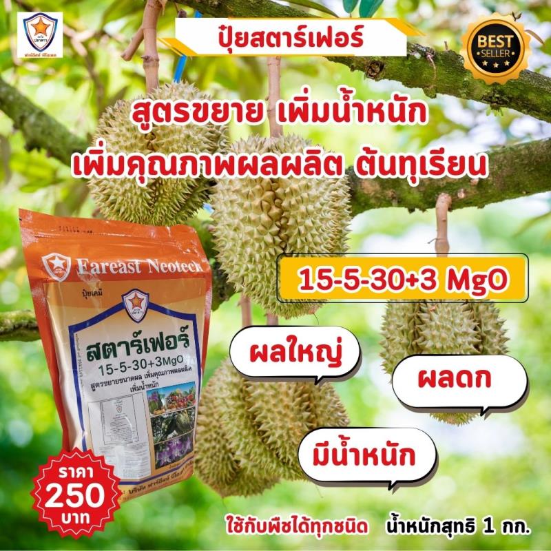 เพิ่มผลผลิตทุเรียนด้วยปุ๋ยสตาร์เฟอร์สูตร 15-5-30+3 MgO: เคล็ดลับสู่การเจริญเติบโตและคุณภาพผลผลิตที่ดี