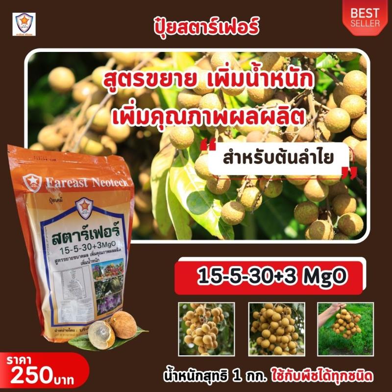 เพิ่มขนาดและคุณภาพของลำไยด้วยปุ๋ยสูตรพิเศษ 15-5-30+3 MgO