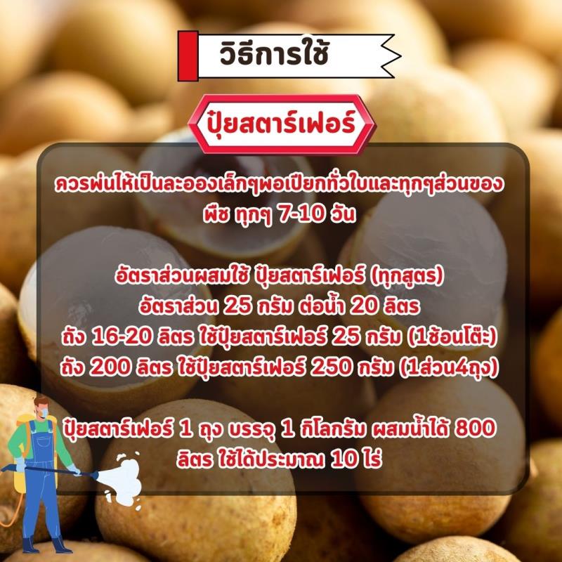 เพิ่มขนาดและคุณภาพของลำไยด้วยปุ๋ยสูตรพิเศษ 15-5-30+3 MgO