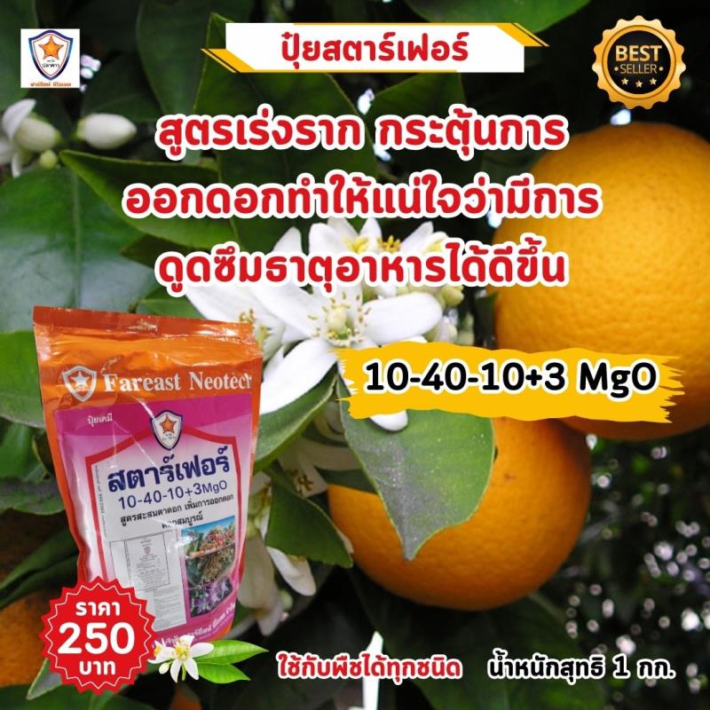 เพิ่มขนาดและคุณภาพของส้มด้วยปุ๋ยสูตร 15-5-30+3 MgO จากสตาร์เฟอร์