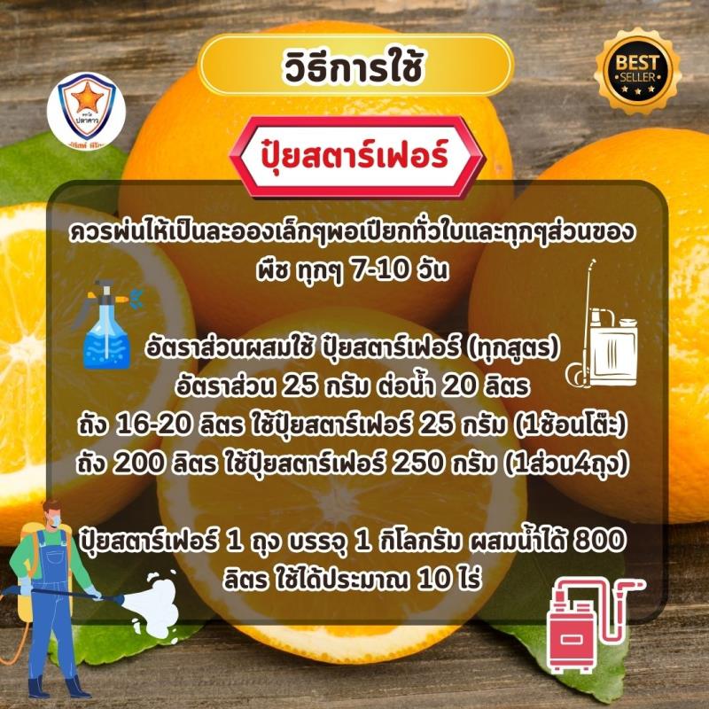 เพิ่มขนาดและคุณภาพของส้มด้วยปุ๋ยสูตร 15-5-30+3 MgO จากสตาร์เฟอร์