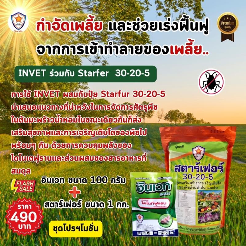 การใช้ INVET ผสมปุ๋ยสตาร์เฟอร์ 30-20-5 ฉีดพ่นป้องกันและกำจัดเพลี้ยอ่อน ศัตรูพืชที่มากับหน้าร้อน สำหรับพืชทุกชนิด