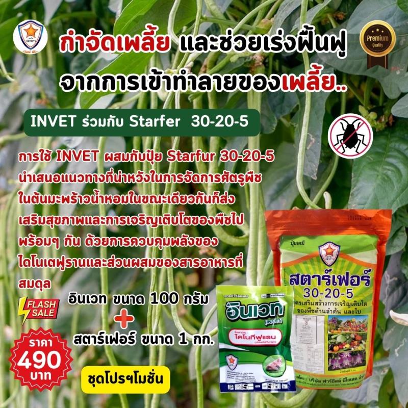 การใช้ INVET ผสมปุ๋ยสตาร์เฟอร์ 30-20-5 ฉีดพ่นป้องกันและกำจัดเพลี้ยอ่อน ศัตรูพืช สำหรับต้นถั่วฝักยาว