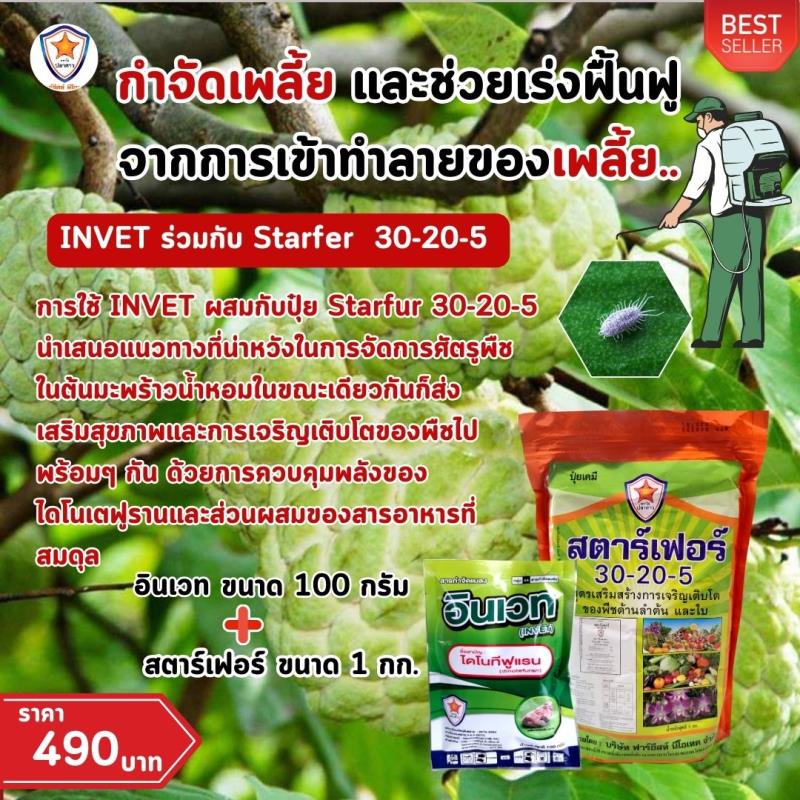 ปราบเพลี้ยแป้งในต้นน้อยหน่าด้วยสูตรเด็ด INVET ผสมปุ๋ยสตาร์เฟอร์ 30-20-5