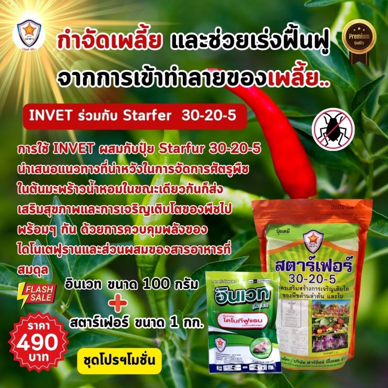 การใช้ INVET ผสมปุ๋ยสตาร์เฟอร์ 30-20-5 ฉีดพ่นป้องกันและกำจัดเพลี้ยไฟ ศัตรูพืชสำหรับต้นพริก