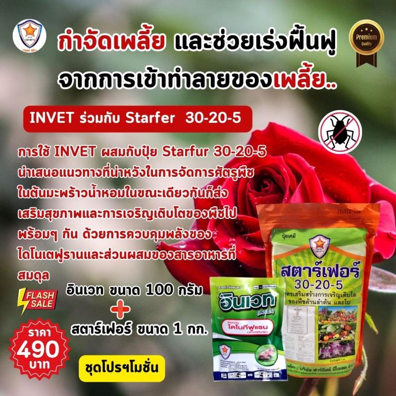 INVET ไดโนเตฟูราน และ ปุ๋ยสตาร์เฟอร์ 30-20-5 ฉีดพ่นป้องกันและกำจัดเพลี้ยอ่อน ศัตรูพืช และเร่งฟื้นฟูจากการเข้าทำลายของเพลี้ย สำหรับต้นดอกกุหลาบ