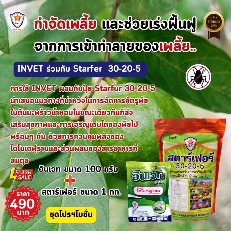 INVET ยาฆ่าแมลงชนิดดูดซึม ไดโนเตฟูราน และปุ๋ยสตาร์เฟอร์ 30-20-5 ฉีดพ่นป้องกันและกำจัดเพลี้ยแป้ง ศัตรูพืชสำหรับต้นฝรั่ง