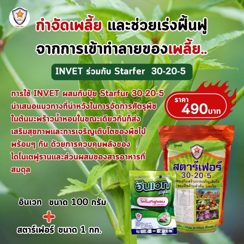  การใช้ INVET ผสมปุ๋ยสตาร์เฟอร์ 30-20-5 ฉีดพ่นป้องกันและกำจัดเพลี้ยจักกจั่นเขียว ศัตรูพืช สำหรับต้นกระเจี๊ยบเขียว