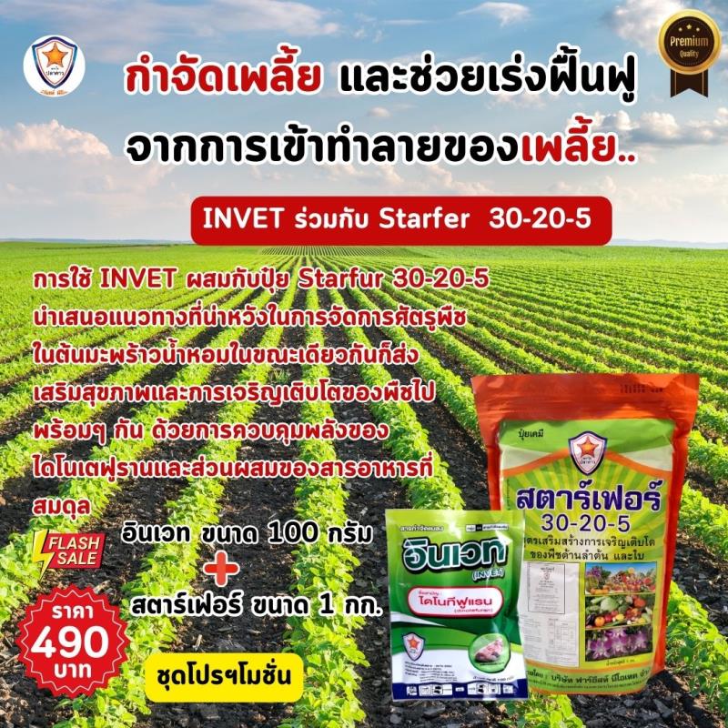 การใช้ INVET ผสมปุ๋ยสตาร์เฟอร์ 30-20-5 ฉีดพ่นป้องกันและกำจัดเพลี้ยอ่อน ศัตรูพืชสำหรับต้นถั่วเหลือง