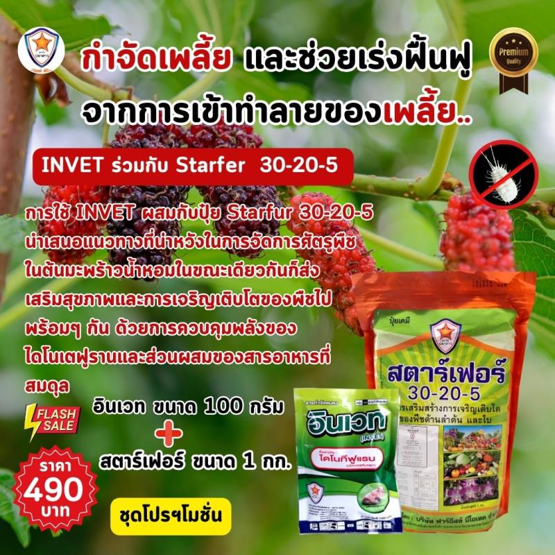  การใช้ INVET ผสมปุ๋ยสตาร์เฟอร์ 30-20-5 ฉีดพ่นป้องกันและกำจัดเพลี้ยแป้ง ศัตรูพืชสำหรับต้นหม่อน