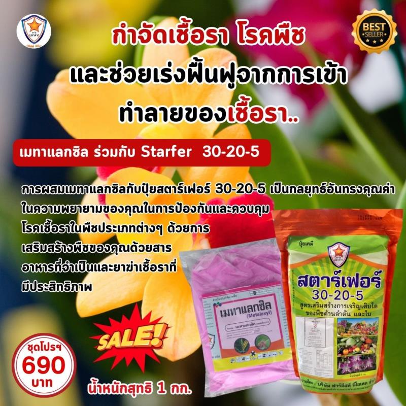 การใช้ Metalaxyl ผสม Starfer Fertilizer 30-20-5 ฉีดพ่นป้องกันและกำจัดโรคในต้นดอกกล้วยไม้