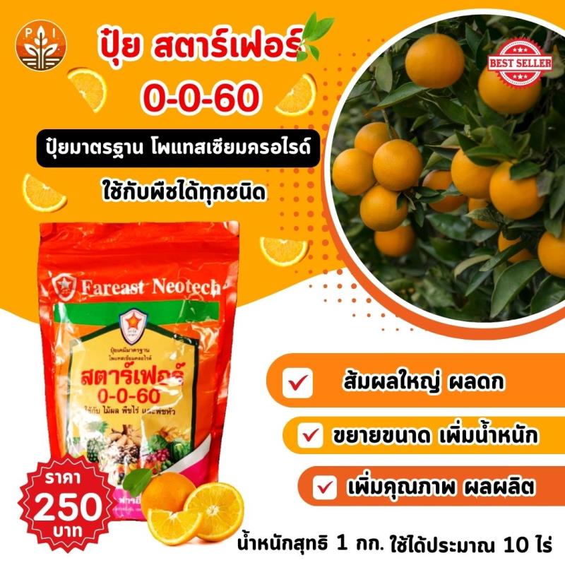 ปุ๋ยสตาร์เฟอร์ 0-0-60 ทางเลือกใหม่สำหรับการเพิ่มผลผลิตและคุณภาพของส้ม