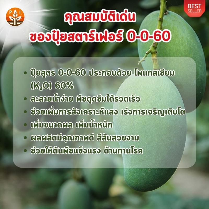 ปุ๋ยสตาร์เฟอร์ ปุ๋ยโพแทสเซียว 0-0-60 สูตรเร่งผลใหญ่ เพิ่มผลผลิต ดกเต็มต้น