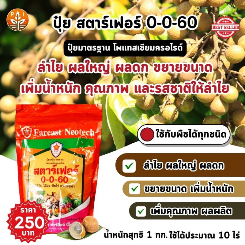 ปุ๋ยสตาร์เฟอร์ 0-0-60 : สูตรเร่งผลใหญ่ ผลดก เพิ่มคุณภาพผลผลิตสำหรับต้นลำไย