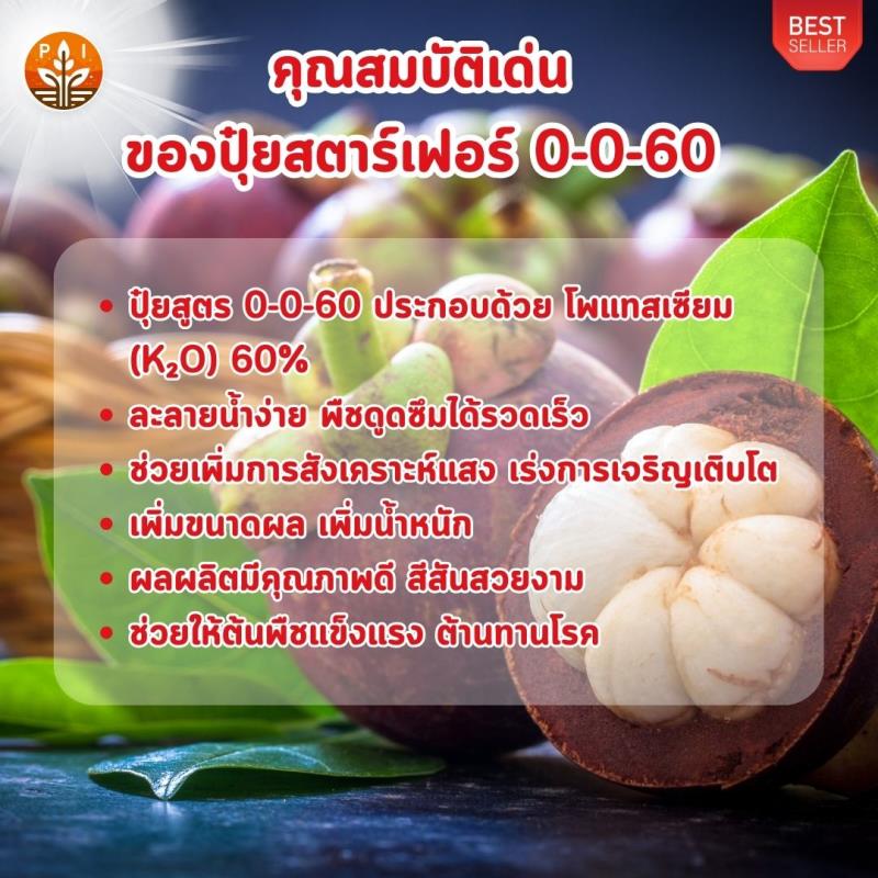 ปุ๋ยสตาร์เฟอร์ 0-0-60 เป็นตัวช่วยสำหรับเกษตรกรที่ต้องการเพิ่มผลผลิต ขนาด คุณภาพของมังคุด ช่วยให้มังคุดมีรสชาติหวาน อร่อย