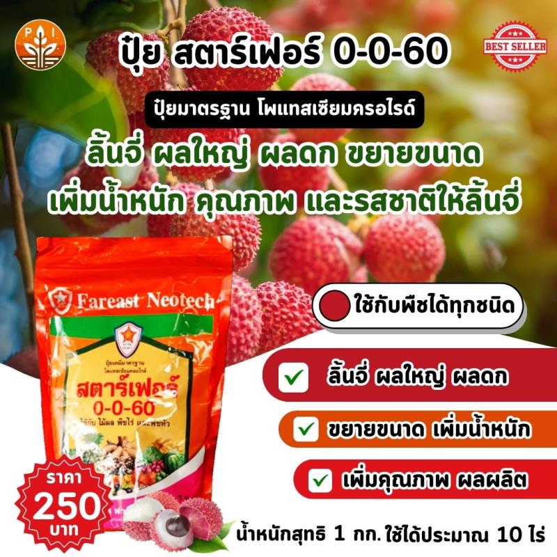 ปุ๋ยสตาร์เฟอร์ 0-0-60 เป็นตัวช่วยที่ดีสำหรับเกษตรกรผู้ปลูกลิ้นจี่ ช่วยให้เพิ่มผลผลิตและคุณภาพของลิ้นจี่ได้