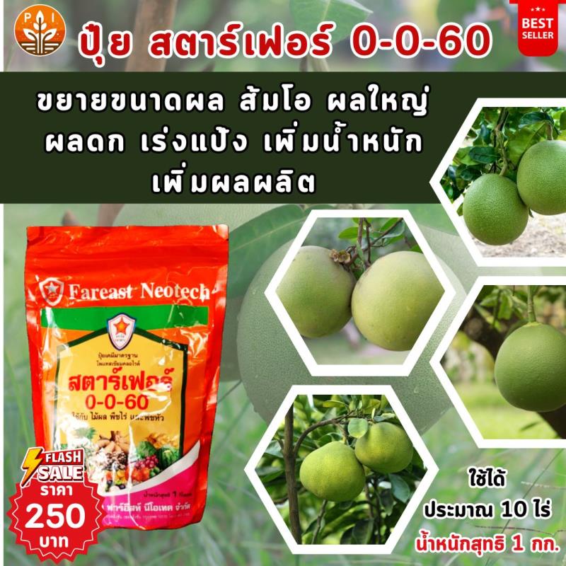 ปุ๋ยสตาร์เฟอร์ 0-0-60 : สูตรลับผลใหญ่ ผลดก เพิ่มน้ำหนัก คุณภาพดี