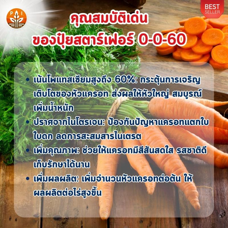 ปุ๋ยสตาร์เฟอร์ 0-0-60 ตัวช่วยให้แครอทของคุณหัวใหญ่ ผลผลิตดก เพิ่มคุณภาพ