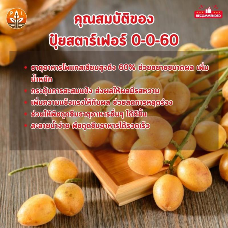 ปุ๋ยสตาร์เฟอร์ 0-0-60 : สูตรลับผลใหญ่ ผลดก เพิ่มน้ำหนัก และคุณภาพสำหรับมะไฟของคุณ