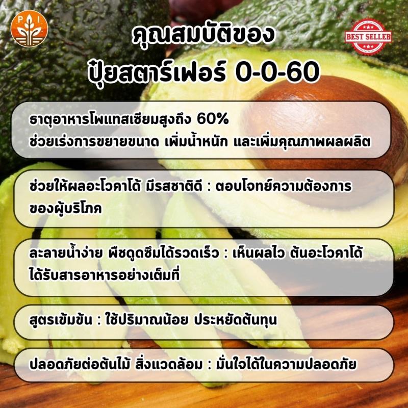  ปุ๋ยสตาร์เฟอร์ 0-0-60 สูตรเร่งผลใหญ่ ผลดก เพิ่มคุณภาพ สำหรับต้นอะโวคาโด้