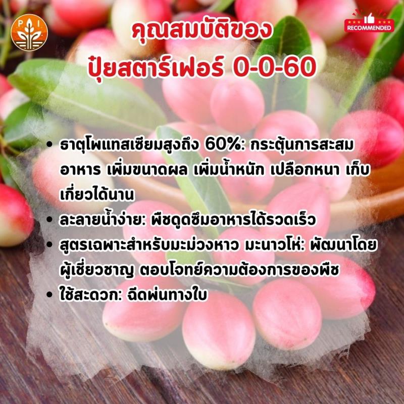 ปุ๋ยสตาร์เฟอร์ 0-0-60 ตัวช่วยเพิ่มผลผลิตมะม่วงหาว มะนาวโห่ ให้ผลใหญ่ ผลดก คุณภาพดี